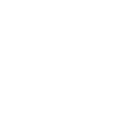 Chiropractic Tampa FL Accident Injury Centers